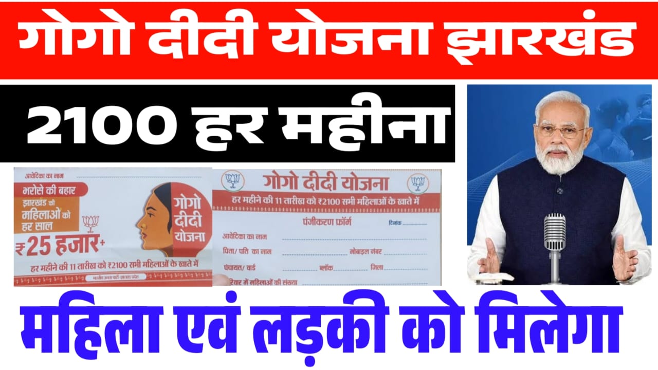 gogo didi yojna 2024 form download onlinefatafat.in